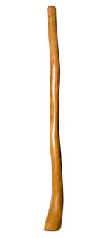 Gloss Finish Flared Didgeridoo (TW1200)